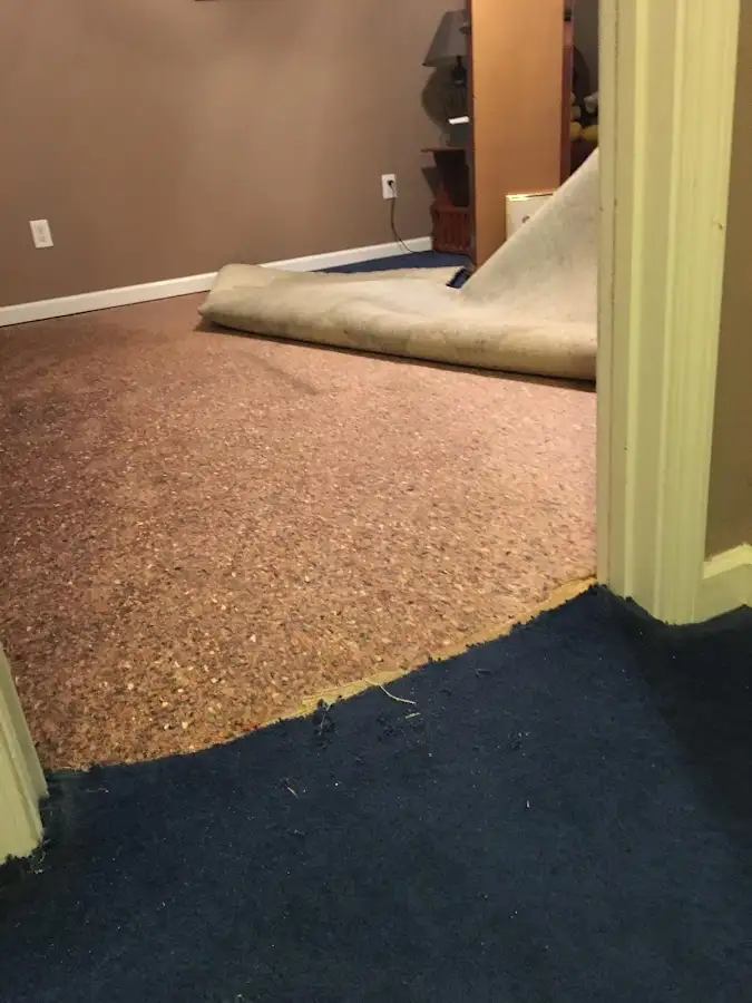 Carpet pad removal revealing water damage during Water Mitigation Services in Park Forest