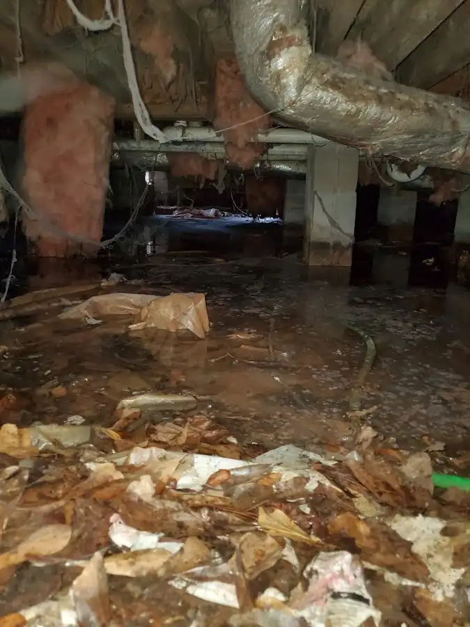 Crawl space flood assessment for Leak Detection & Repair in Park Forest