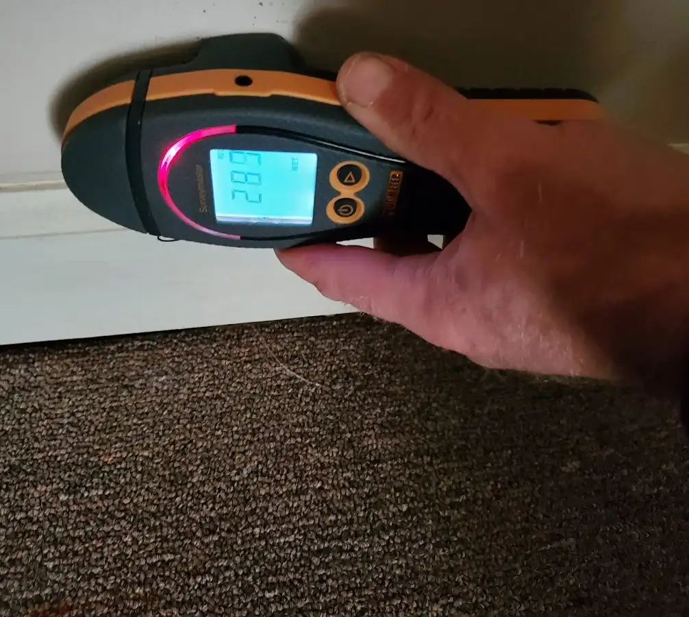 Moisture detection at baseboard during Sewage Cleanup & Sanitation in Park Forest